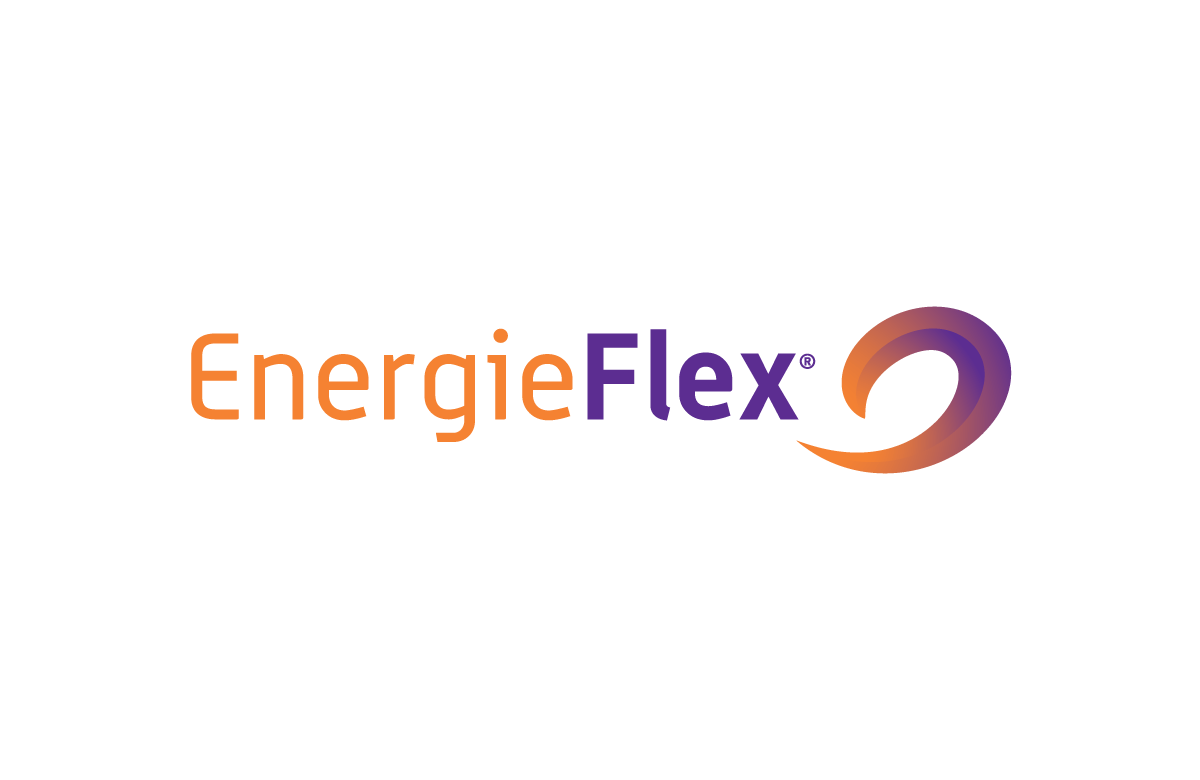 Energie Flex logo